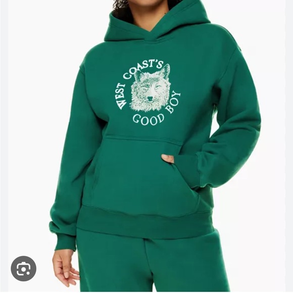 COPY - Aritzia cozy, fleece perfect hoodie - Picture 2 of 5